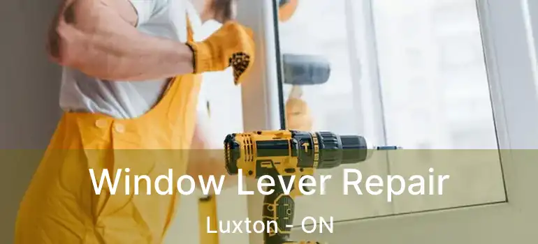  Window Lever Repair Luxton - ON