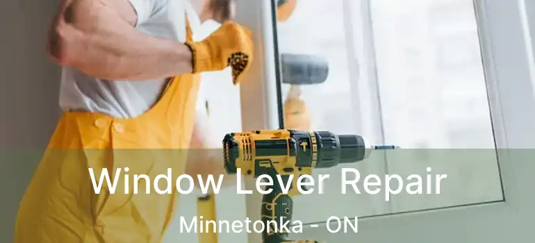  Window Lever Repair Minnetonka - ON