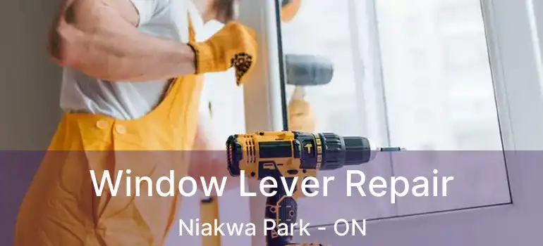  Window Lever Repair Niakwa Park - ON