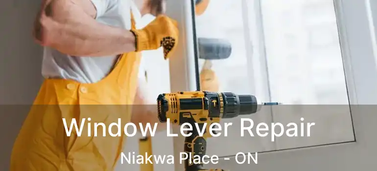  Window Lever Repair Niakwa Place - ON