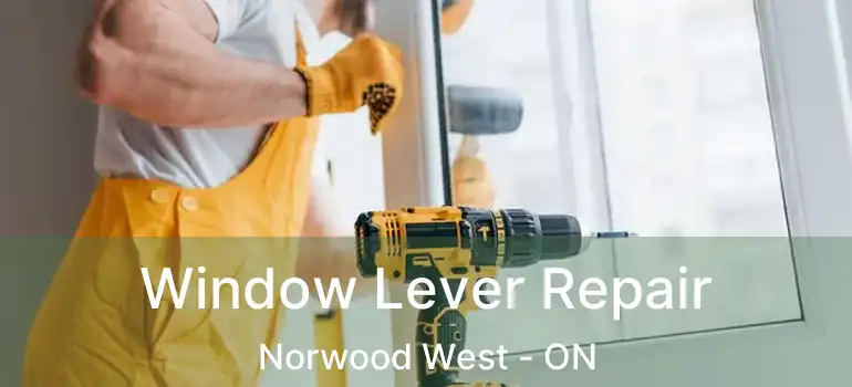  Window Lever Repair Norwood West - ON
