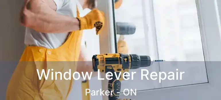  Window Lever Repair Parker - ON