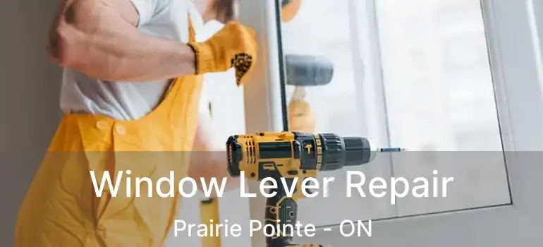  Window Lever Repair Prairie Pointe - ON