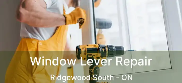  Window Lever Repair Ridgewood South - ON