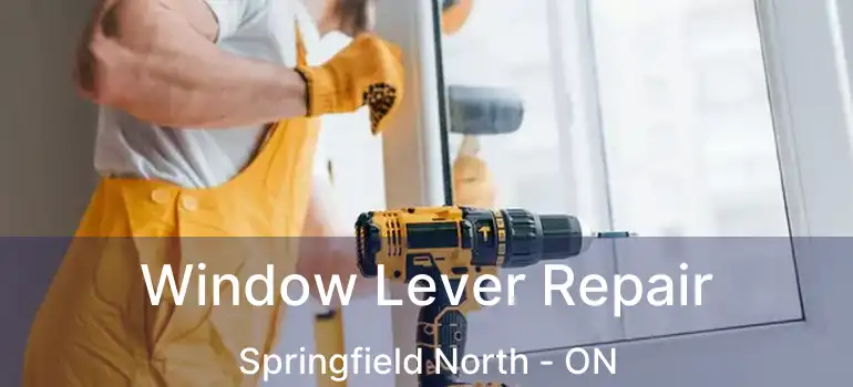  Window Lever Repair Springfield North - ON