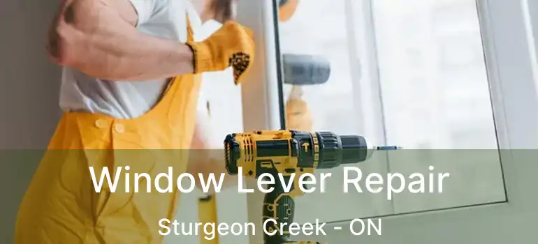  Window Lever Repair Sturgeon Creek - ON