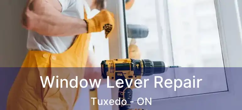  Window Lever Repair Tuxedo - ON