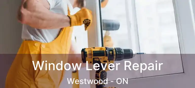  Window Lever Repair Westwood - ON