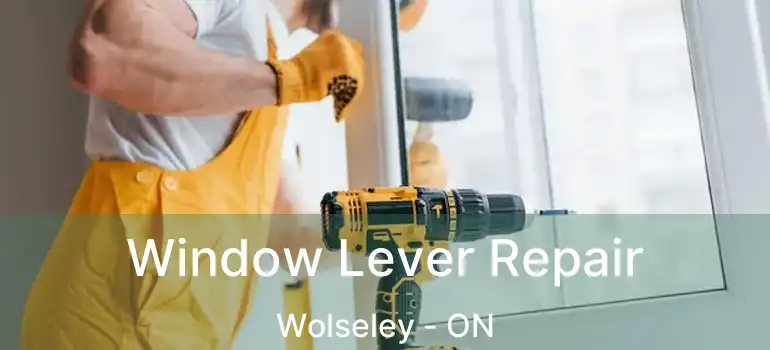  Window Lever Repair Wolseley - ON