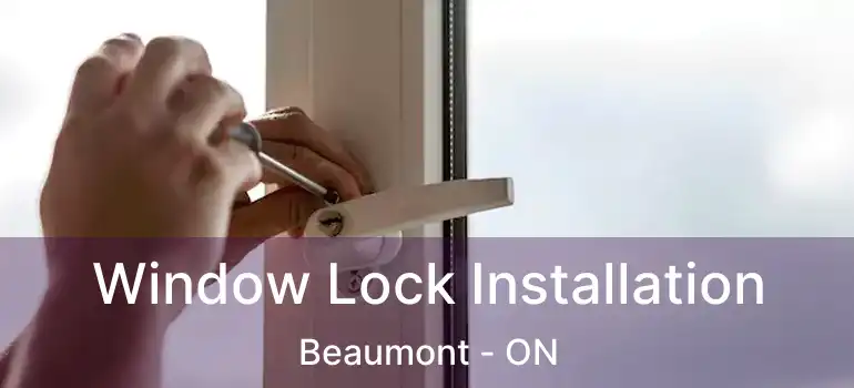  Window Lock Installation Beaumont - ON