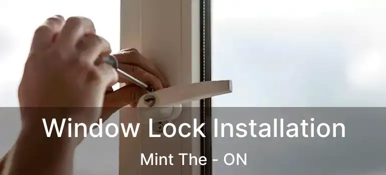  Window Lock Installation Mint The - ON