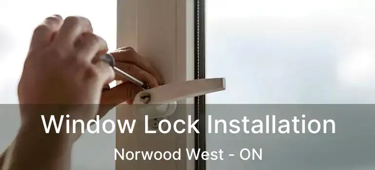  Window Lock Installation Norwood West - ON