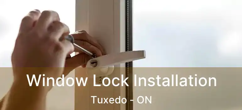 Window Lock Installation Tuxedo - ON