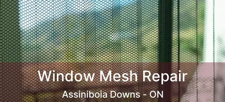  Window Mesh Repair Assiniboia Downs - ON