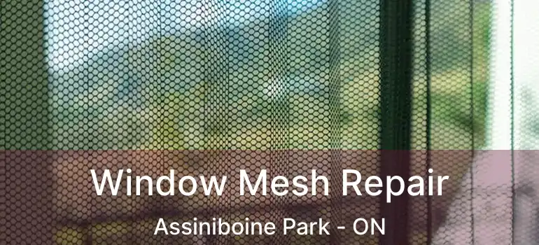  Window Mesh Repair Assiniboine Park - ON