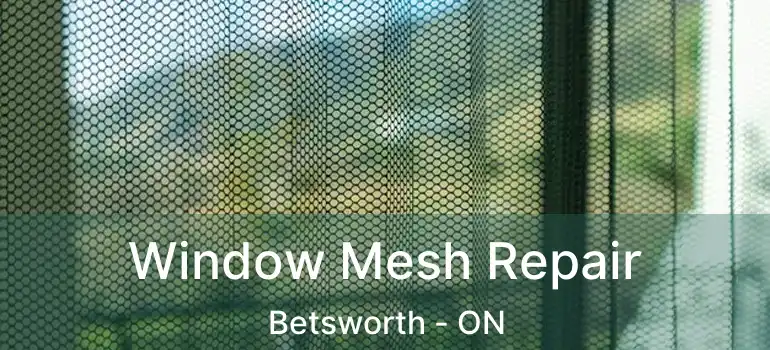  Window Mesh Repair Betsworth - ON