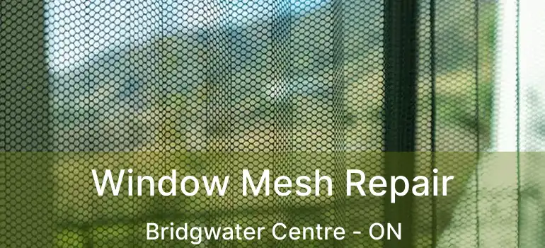  Window Mesh Repair Bridgwater Centre - ON