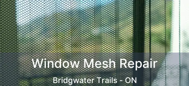  Window Mesh Repair Bridgwater Trails - ON