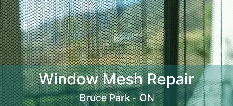  Window Mesh Repair Bruce Park - ON