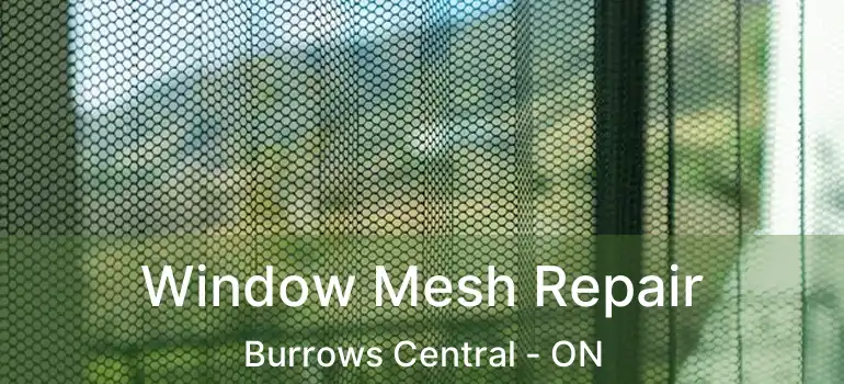  Window Mesh Repair Burrows Central - ON