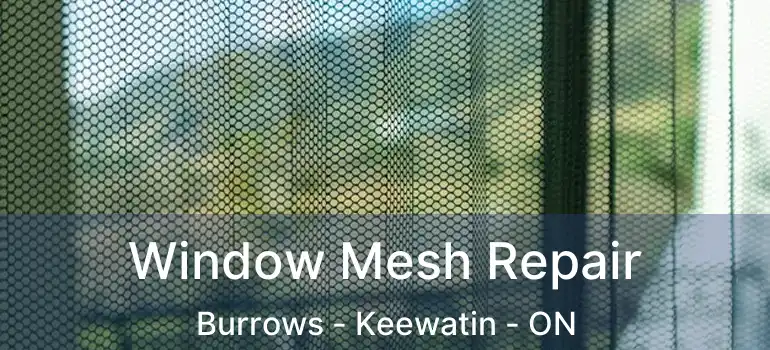  Window Mesh Repair Burrows - Keewatin - ON