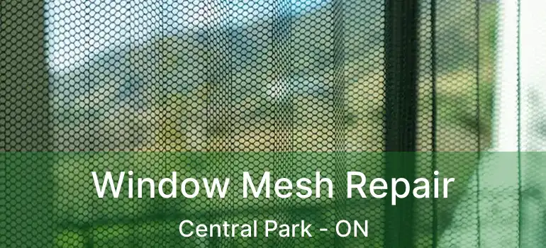  Window Mesh Repair Central Park - ON