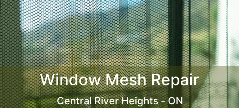  Window Mesh Repair Central River Heights - ON