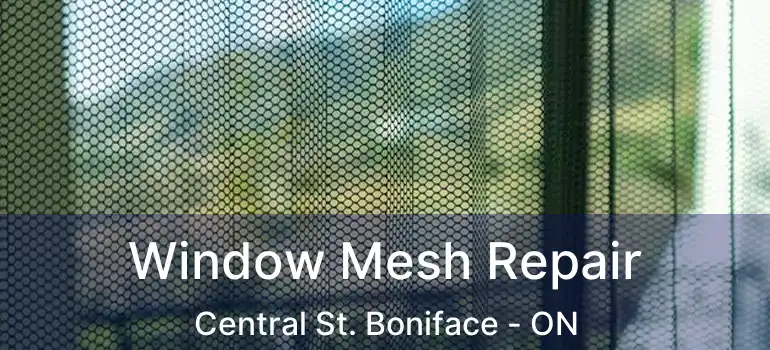  Window Mesh Repair Central St. Boniface - ON
