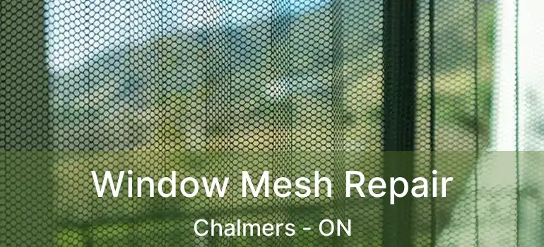  Window Mesh Repair Chalmers - ON
