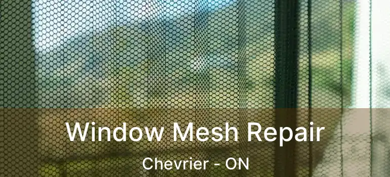  Window Mesh Repair Chevrier - ON