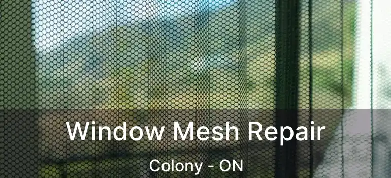  Window Mesh Repair Colony - ON