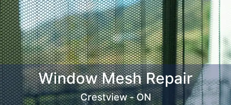  Window Mesh Repair Crestview - ON