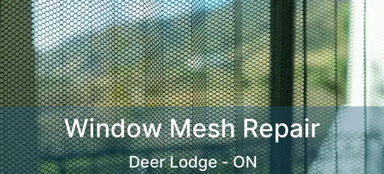  Window Mesh Repair Deer Lodge - ON