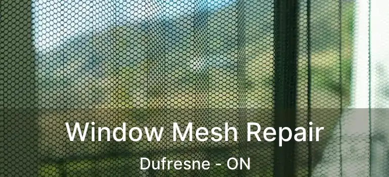  Window Mesh Repair Dufresne - ON