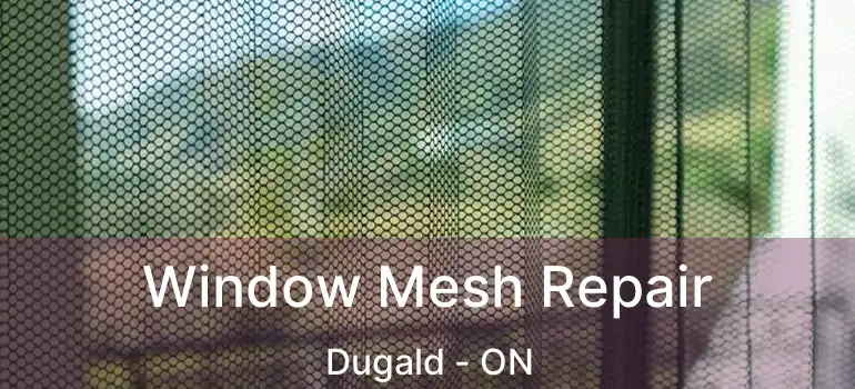  Window Mesh Repair Dugald - ON