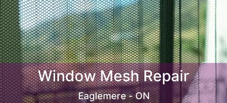  Window Mesh Repair Eaglemere - ON