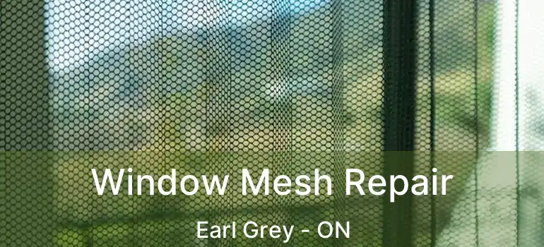  Window Mesh Repair Earl Grey - ON