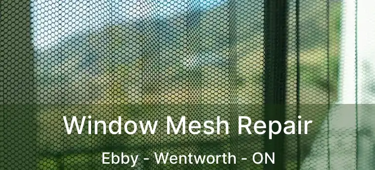  Window Mesh Repair Ebby - Wentworth - ON