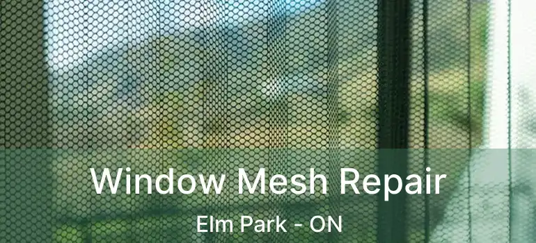  Window Mesh Repair Elm Park - ON