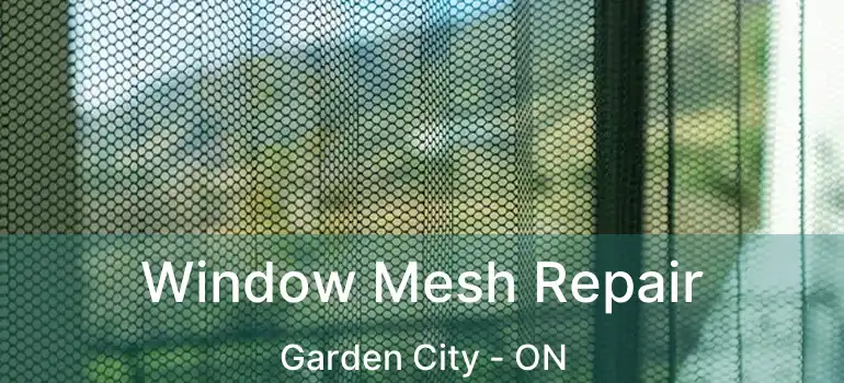  Window Mesh Repair Garden City - ON
