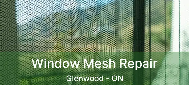  Window Mesh Repair Glenwood - ON