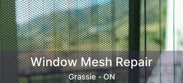  Window Mesh Repair Grassie - ON