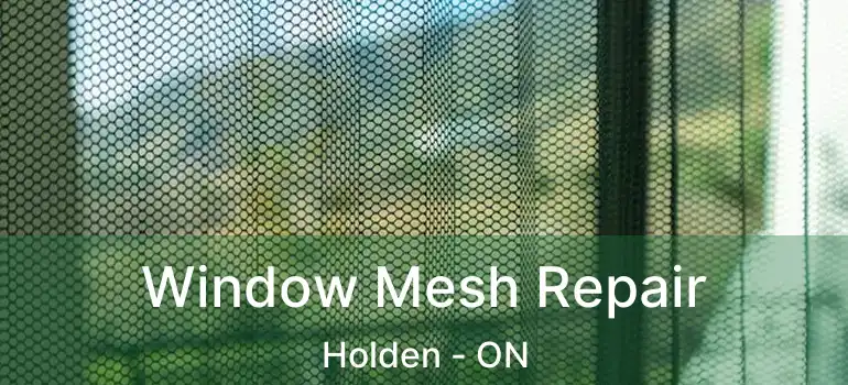  Window Mesh Repair Holden - ON