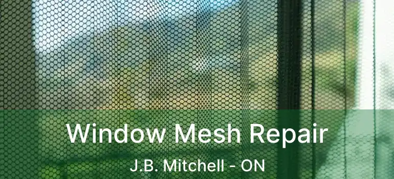  Window Mesh Repair J.B. Mitchell - ON