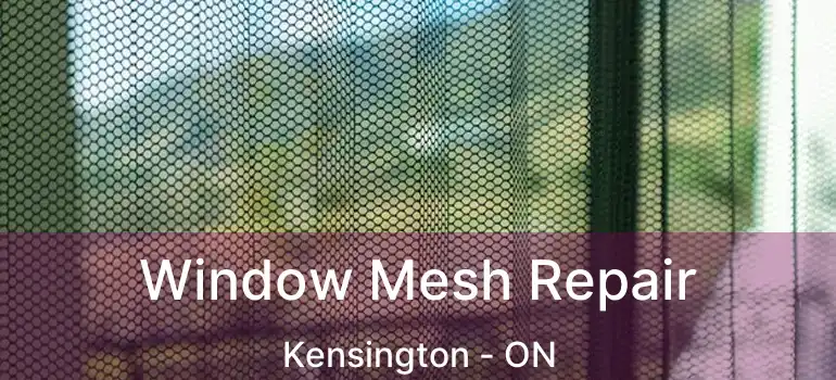 Window Mesh Repair Kensington - ON