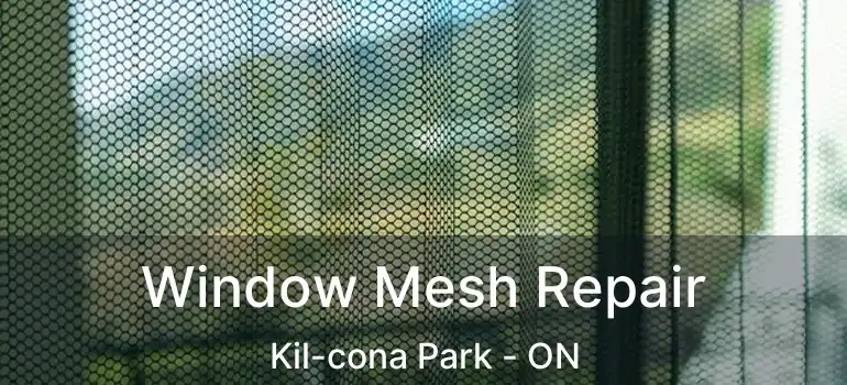  Window Mesh Repair Kil-cona Park - ON