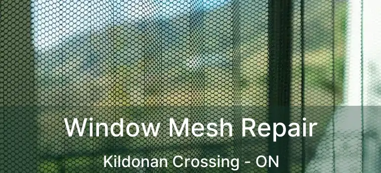  Window Mesh Repair Kildonan Crossing - ON