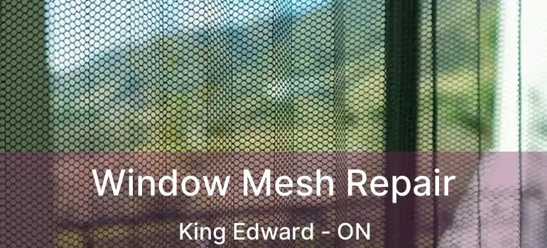  Window Mesh Repair King Edward - ON