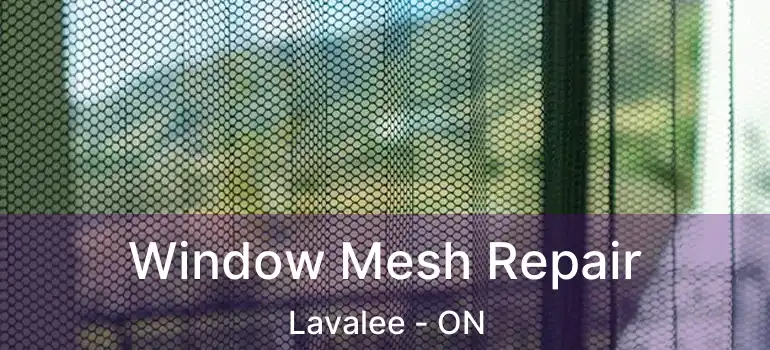  Window Mesh Repair Lavalee - ON
