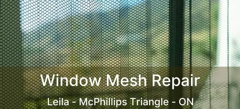  Window Mesh Repair Leila - McPhillips Triangle - ON